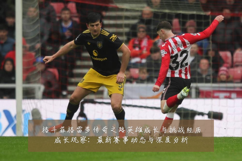 格斗菲格雷多传奇之路英雄成长与挑战经历成长观察:最新赛事动态与深度分析